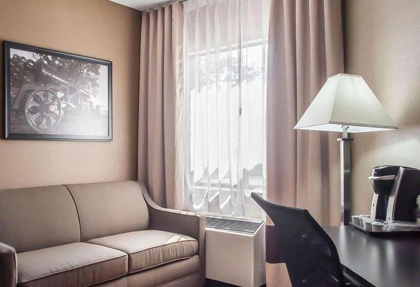 스탠다드 룸 킹사이즈 침대, Comfort Inn