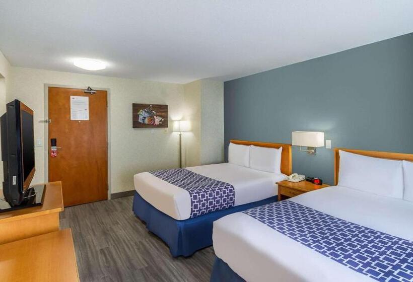 スタンダードルーム, Econo Lodge Inn & Suites University
