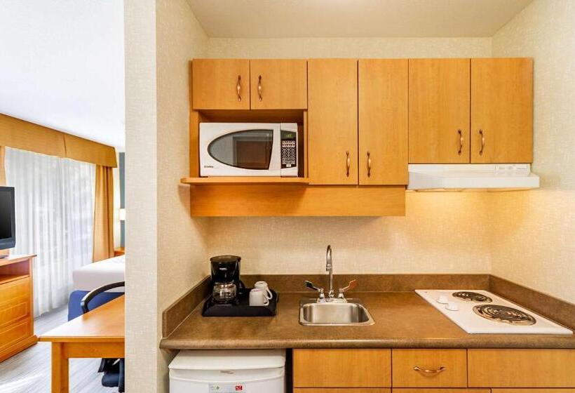 スイート, Econo Lodge Inn & Suites University