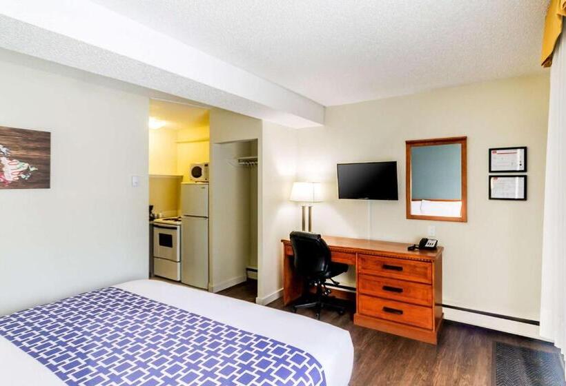 キングサイズベッドのスタンダードルーム, Econo Lodge Inn & Suites University