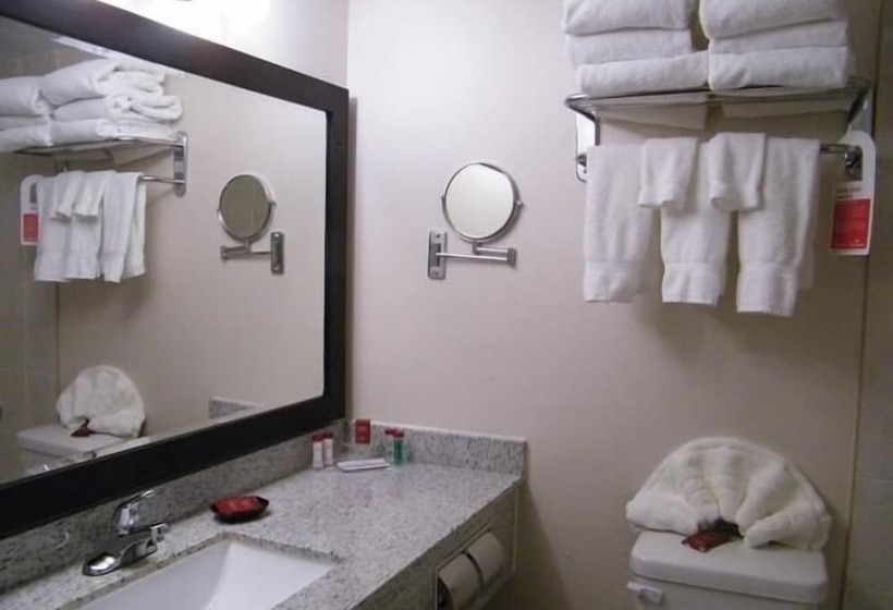 ビジネスルーム, Ramada By Wyndham Edmonton South