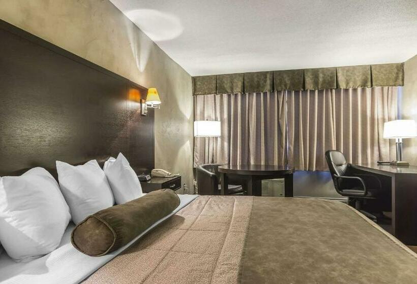 带大床的标准间, Quality Hotel & Conference Centre