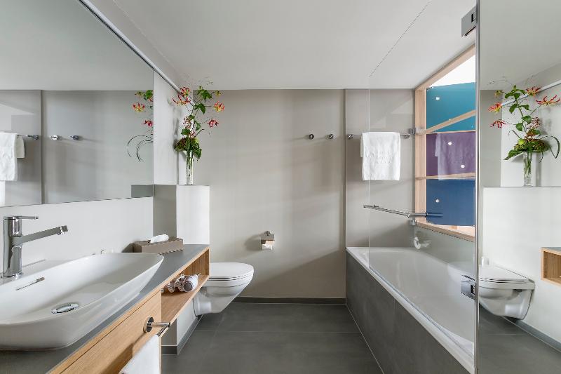 Номер Премиум, Basel  Urbane Tradition Und Moderne