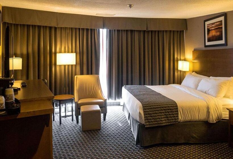 标准间带湖景, Clarion Lakeside Inn & Conference Centre