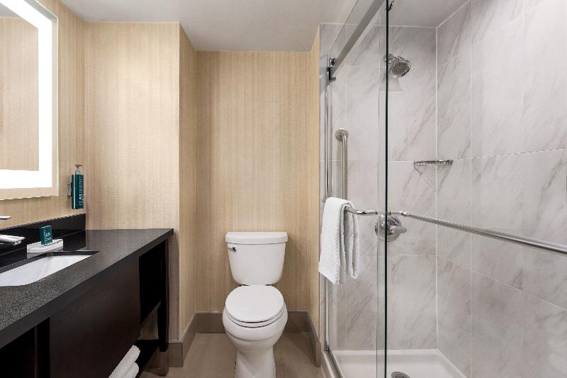 Стандартный Номер Кровать Кинг, Doubletree By Hilton Pointe Claire Montreal Airport West