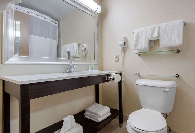 스탠다드 룸 더블 침대 2개, Quality Inn & Conference Centre Downtown