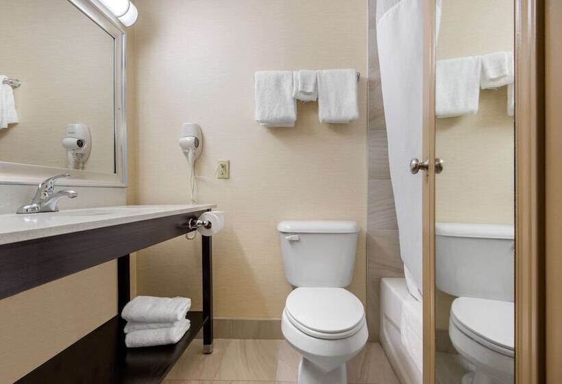 Quarto Estandar 2 Camas Casal, Quality Inn & Conference Centre Downtown