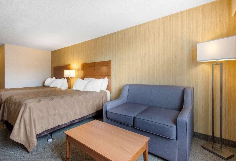 스탠다드 룸 더블 침대 2개, Quality Inn & Conference Centre Downtown
