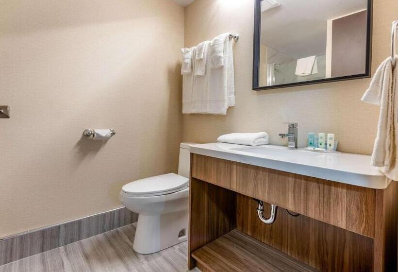スーペリアールーム, Quality Inn & Suites