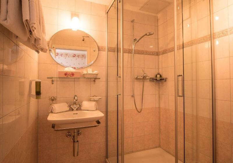 اتاق استاندارد یک نفره, Historic Hotel Falken