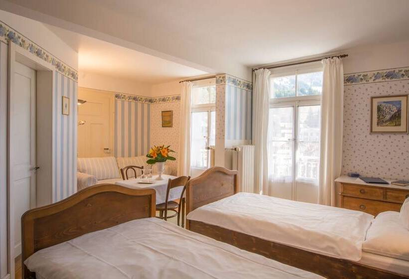 اتاق سوپریور با چشم‌انداز کوهستان, Historic Hotel Falken