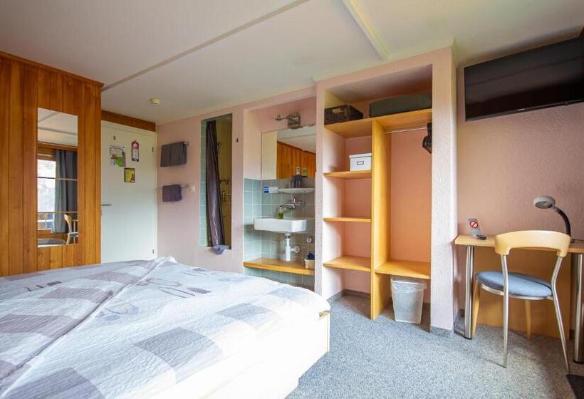 Номер Стандартный с Видом, Grindellodge