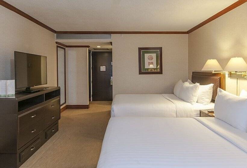 スタンダードルーム, Delta Hotels By Marriott San Jose Aurola
