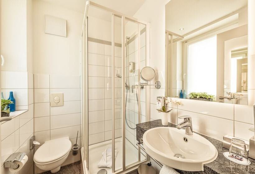 舒适型单人间, Cityclass Hotel Am Dom