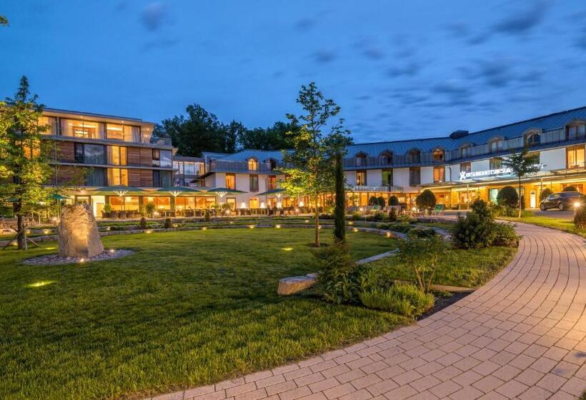 Люкс с Террасой, Dorint Thermenhotel Freiburg