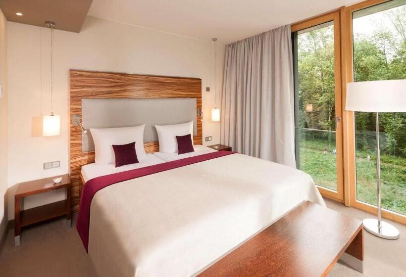 Люкс с Террасой, Dorint Thermenhotel Freiburg
