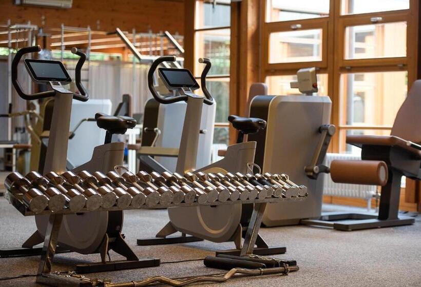 Полулюкс Одноместный с Террасой, Dorint Thermenhotel Freiburg