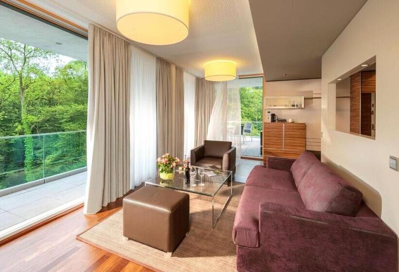 Полулюкс Одноместный с Террасой, Dorint Thermenhotel Freiburg