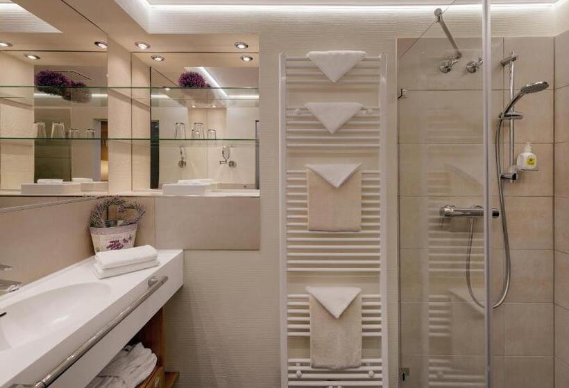 Люкс Superior, Pfalzhotel Asselheim