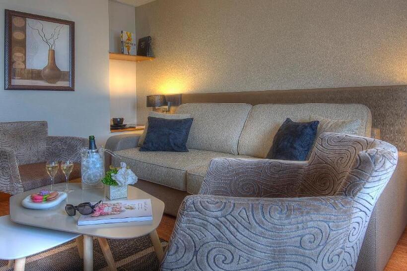小型套房, Best Western Plus  Elixir Grasse