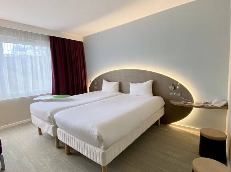 Номер Стандарт, Ibis Styles Colmar Nord