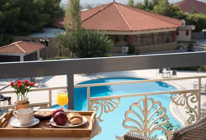Номер Стандарт Индивидуальный, Acharnis Kavallari Hotel Suites