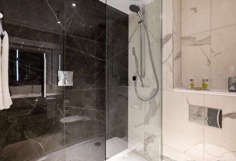 Номер Стандарт, Hilton London Metropole