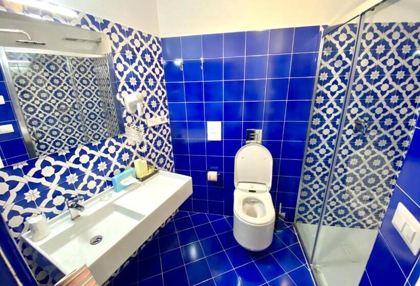 اتاق لوکس, Savoia