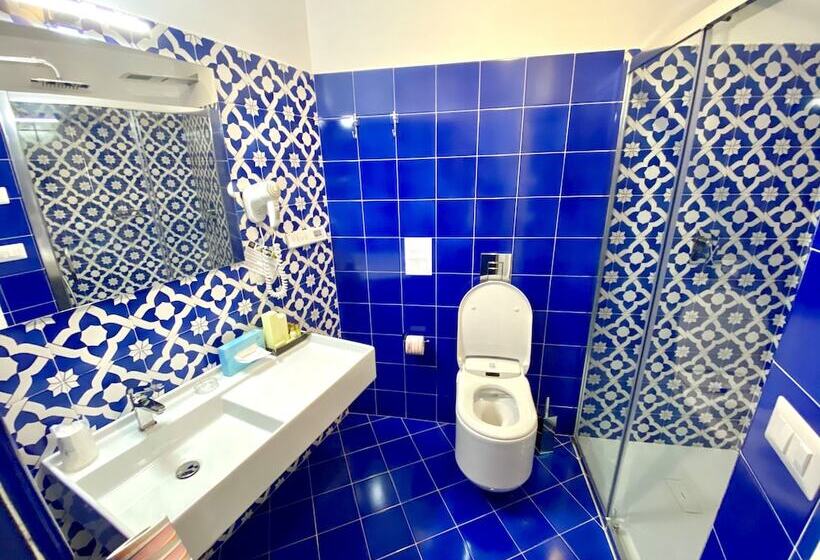اتاق لوکس, Savoia