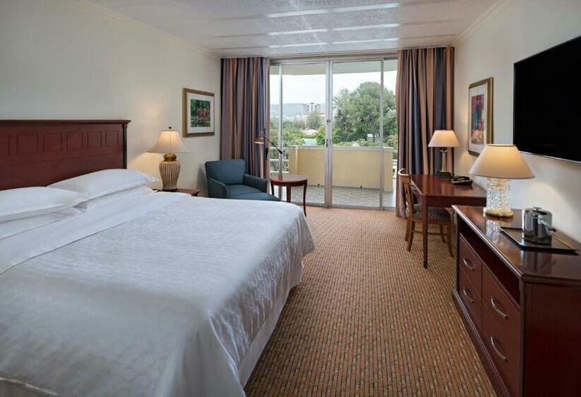 Номер Deluxe Одноместный, Sheraton Presidente San Salvador