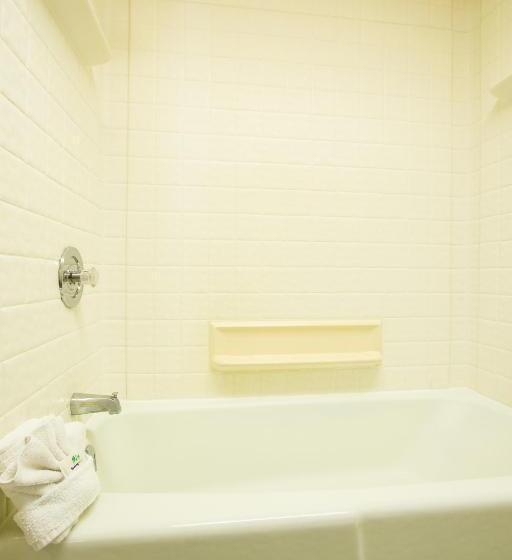 Standard-huone, Anaheim Carriage Inn