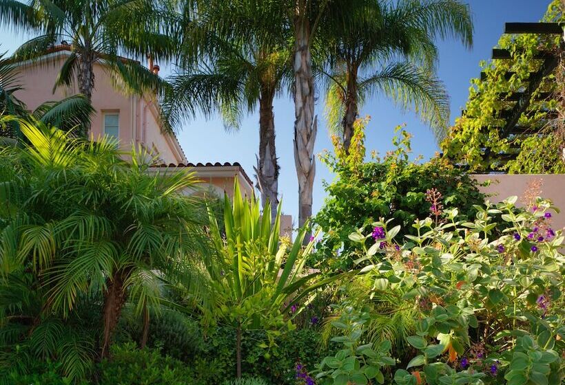 Люкс, Belair  Dorchester Collection