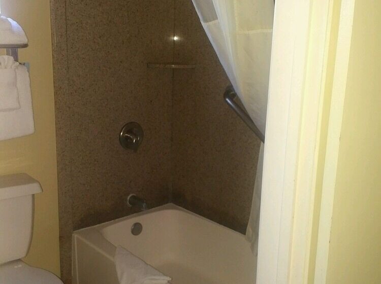 Standard-huone 2 Parivuodetta, Quality Inn & Suites Anaheim At The Park