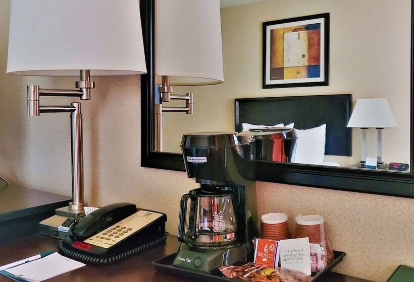 Standard-huone 2 Parivuodetta, Quality Inn & Suites Anaheim At The Park