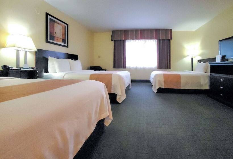 Standard-huone, Quality Inn & Suites Anaheim At The Park