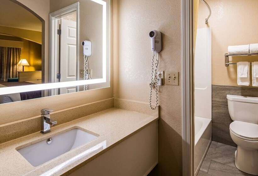 Номер Стандарт 2 Двуспальные Кровати, Best Western Catalina Inn