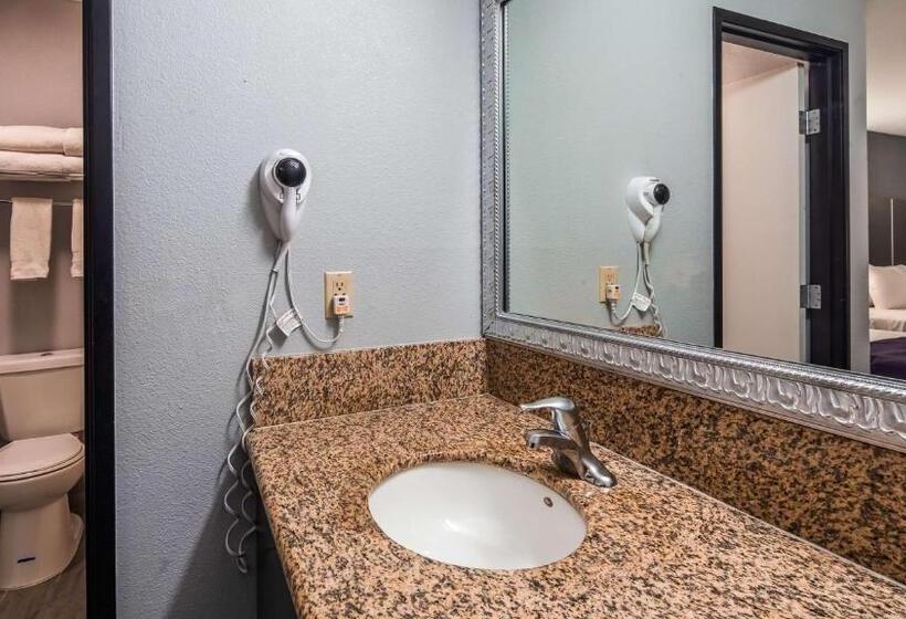 带大床的标准间, Best Western Desert Villa Inn