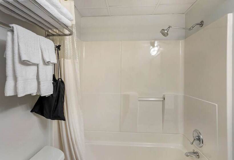 Номер Стандарт 2 Двуспальные Кровати, Best Western Dubois