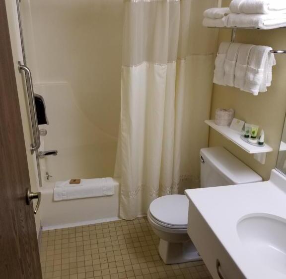 Номер Стандарт Адаптированный для Инвалидов, Best Western La Grande Hacienda