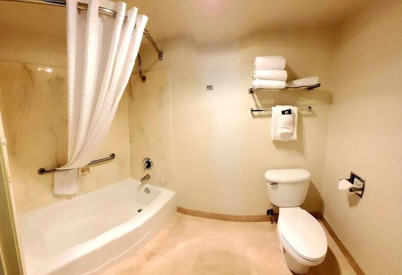 스탠다드 룸 더블 침대 2개, Best Western Plus Northwoods Inn