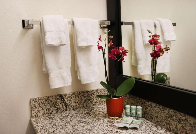 Quarto Estandar para Deficientes Físicos, Best Western Sonoma Winegrower's Inn