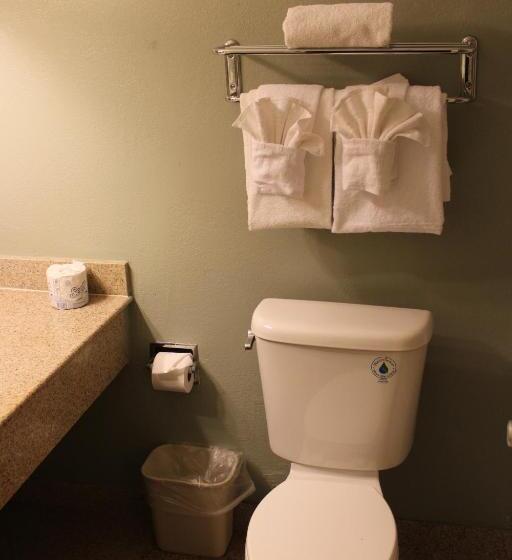 חדר סטנדרט עם מיטת קינג, Clarion Hotel Bakersfield North