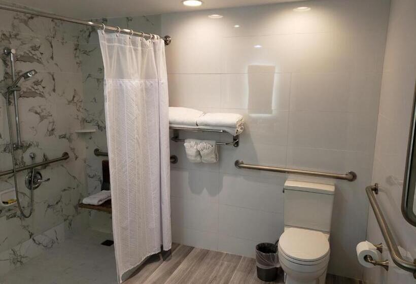 身障者適用キングサイズベッドルーム, Best Western Plus Sunset Plaza