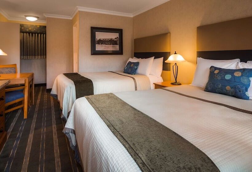 스탠다드 룸 더블 침대 2개, Best Western University Lodge