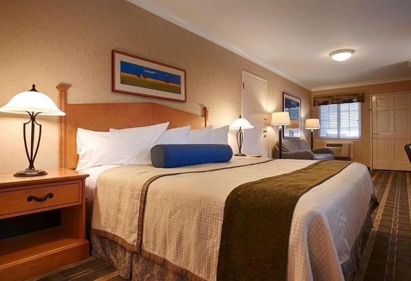 스탠다드 룸 킹사이즈 침대, Best Western University Lodge