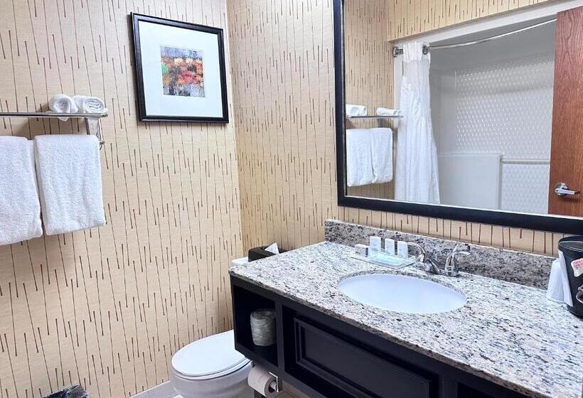 Стандартный Номер Кровать Кинг, Holiday Inn Express Big Rapids, An Ihg