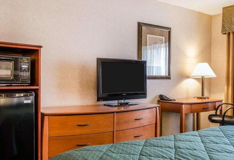 Стандартный Номер Кровать Кинг, Quality Inn & Suites