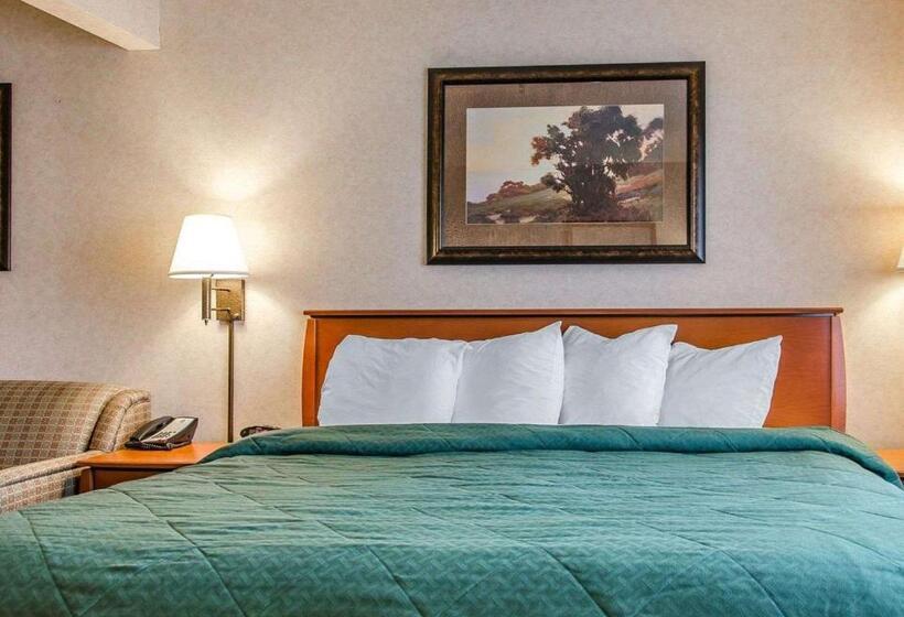 Люкс Кровать Кинг, Quality Inn & Suites