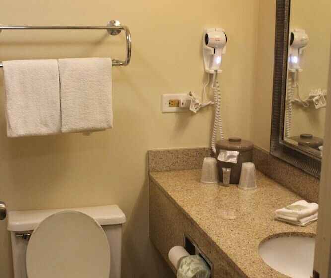디럭스 룸, Red Roof Inn Gurnee  Waukegan