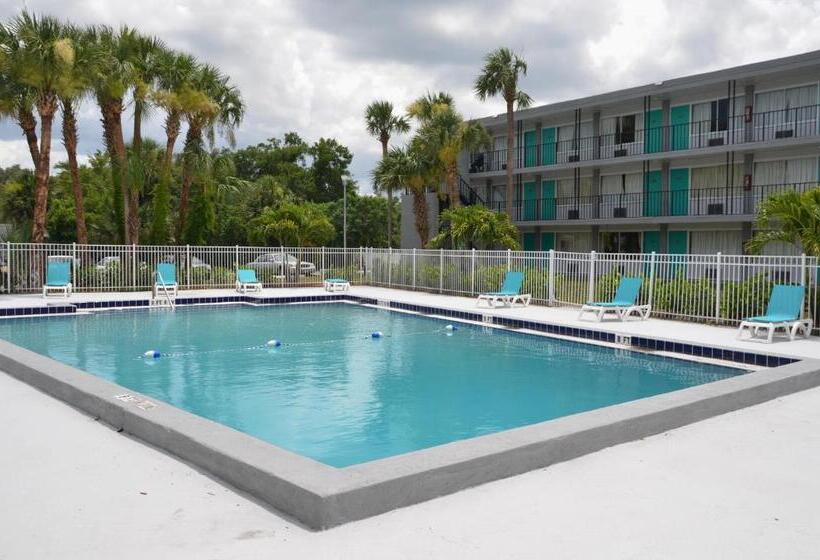Quarto Estandar Cama King, Altamonte Springs Hotel And Suites